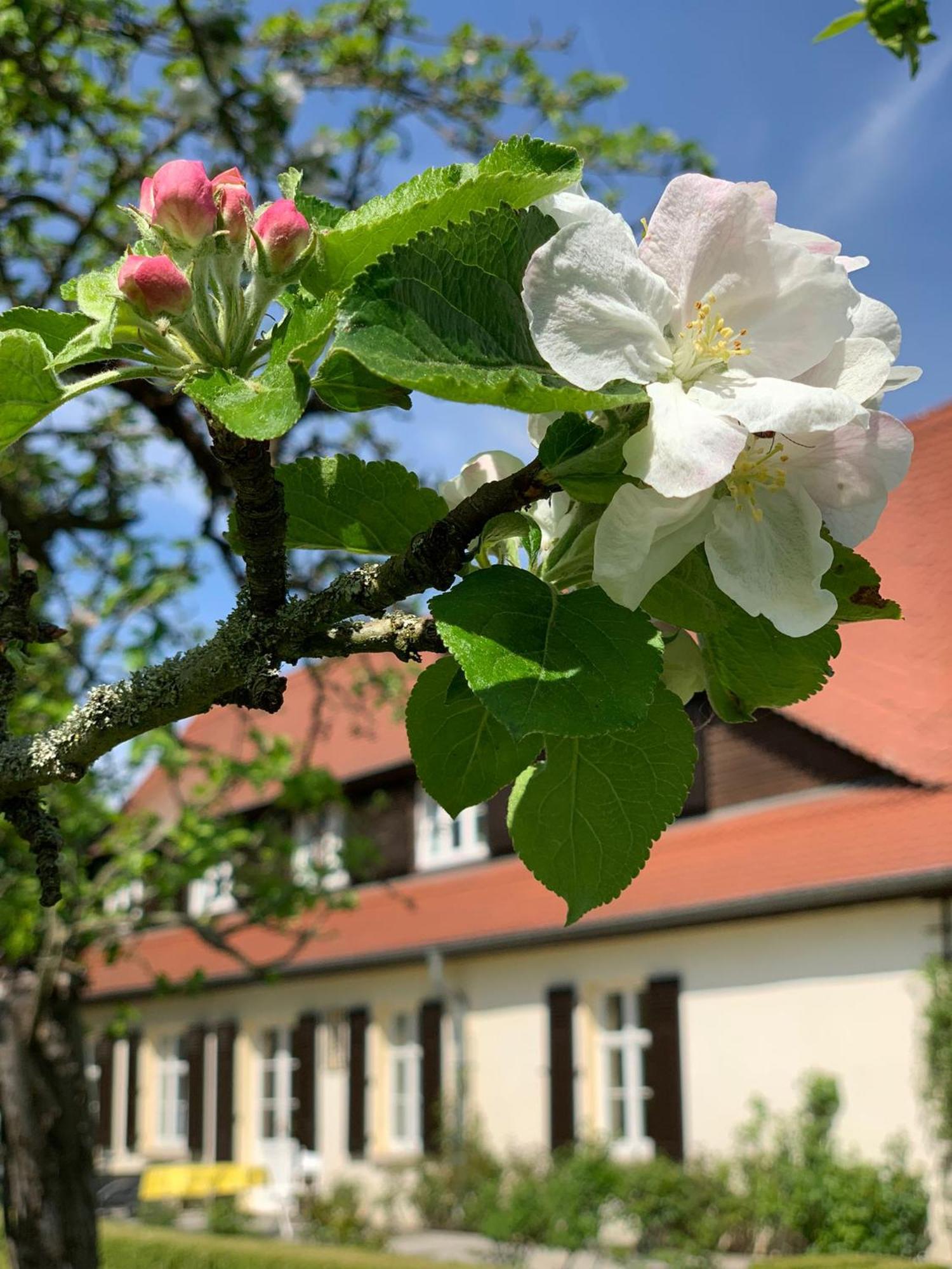 Landhaus Saaleck Наумбург Экстерьер фото