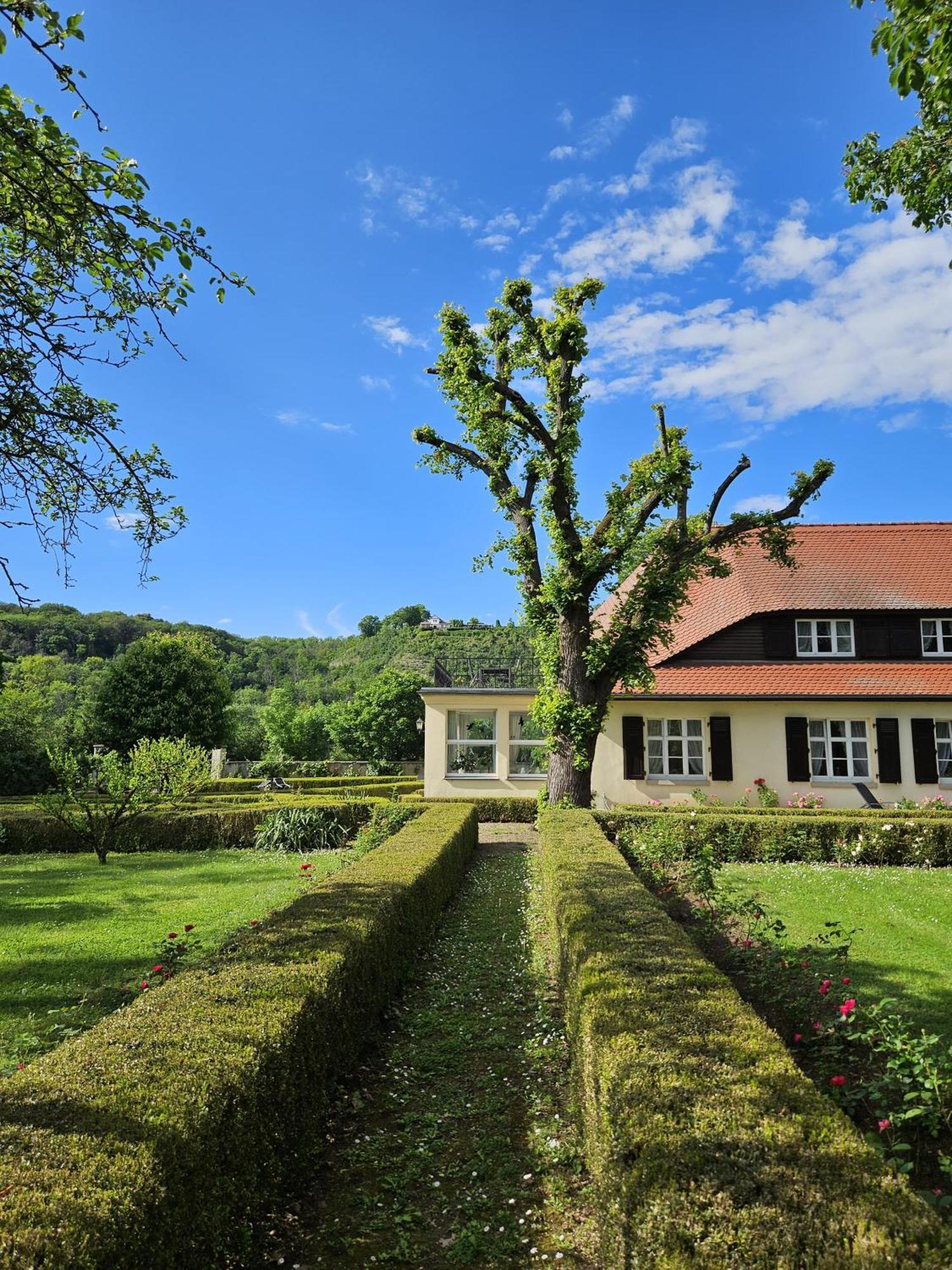 Landhaus Saaleck Наумбург Экстерьер фото